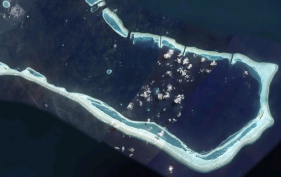 V. Fohtheyofalhu vikaalanee gaanoonaa hilaafah, campaign ah faishaa hodhan: idhikolhu