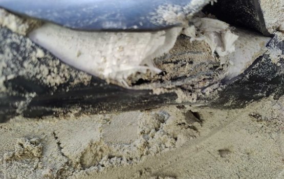 Cable akah gellun vegen hulhumale in karantu ken'dijje