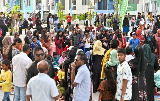 Hiya flat kairee park eh hulhuvaifi