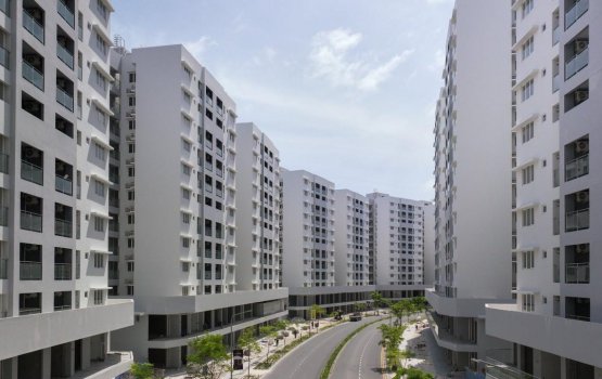 Resort muvazzafunnah flat dheyn sarukaarun ninmaifi