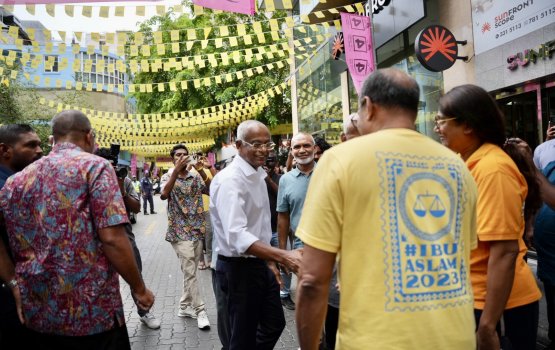 JP Council ge majority thaaeedhu kuraathan fenigen dhaane: Raees