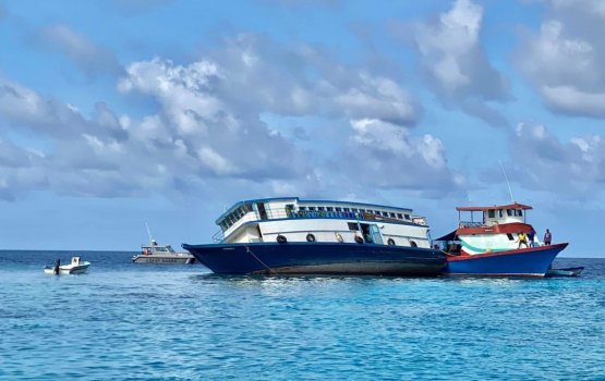 Dhanbidhoo boat eh mudhalaa eku farah araifi