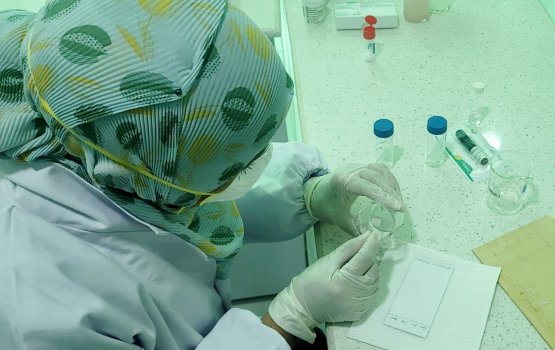 Nurakkaatheri chemical huri beys dhenegathumun WHO ge thaureefu Raajje ah