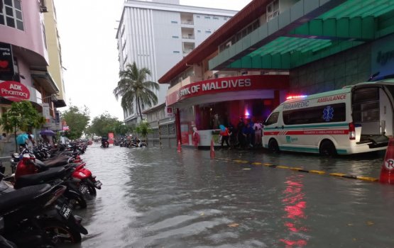 Gadha vayaaeku IGMH kaireegai huri faareh vettijje