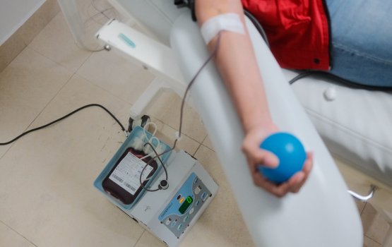 Sarukaaruge kharadhuga bone marrow hedhumah ithuru 2 kudhin furaifi