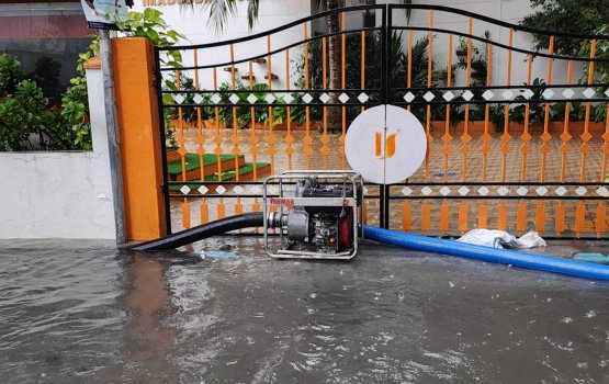 Male gai fenboduve, fen hihdhumuge masakkai sifain fashaifi 