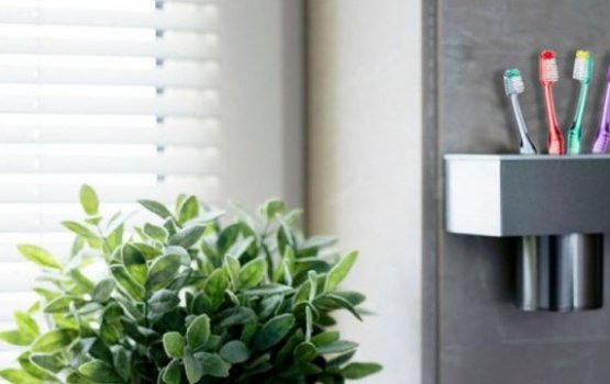 Aanmu koh beynun kuraa mi thaketheege ves muhdhathu hamavey!