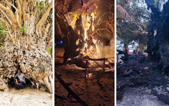 Baarashuga boduthakurufaanah haahsavaa 400 aharuvee kaani gahuga roa kollaifi