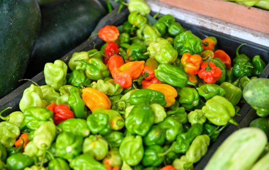 Roadha mas feshunuiru agu bodu koh huri  miruhu ge agu heyovejje 