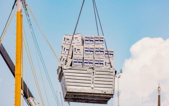 Import duty in libunu aamdhanee jehi jehigen 2 vana mahu ves dhash!