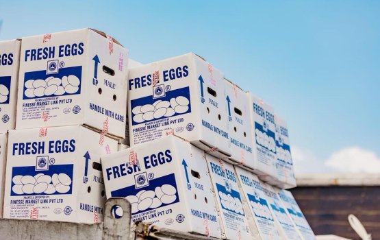 Kukulhu bis vikkaairu rakkaatheri kamah samaalu kan dheyn HPA in angaifi