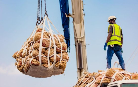 India in raajje ah beynunvaa asaasee kaaboathaketheege quota ithuru koh dheefi