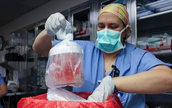 Furathama faharah insaanehge hashigandah ooru kidney eh lahvaifi