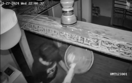 Miskiythakun fankaa thakeh vagah negi meehaa athulaigathee fanka akaa eku!