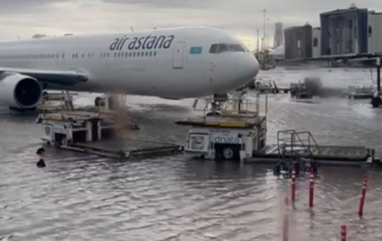 UAE ah kuri gadha vissaaraigai Dubai fenu adeegai