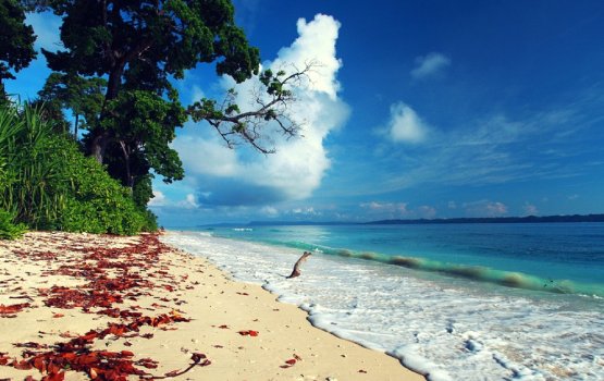 Andaman islands gai dhiri ulhey himaayai kurevifaivaa aabaadhee