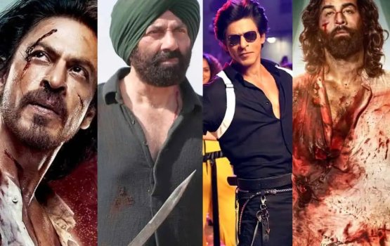 Bollywood gai emme bodu ammudhanee eh libunu 4 film