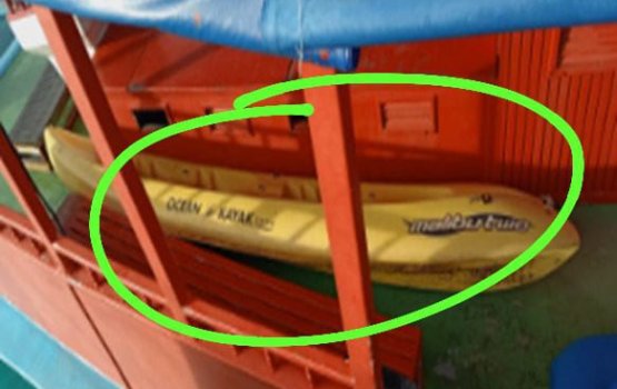 Gellunu bidheysee meehaa hoadhan aammun ge ehee ah edhijje