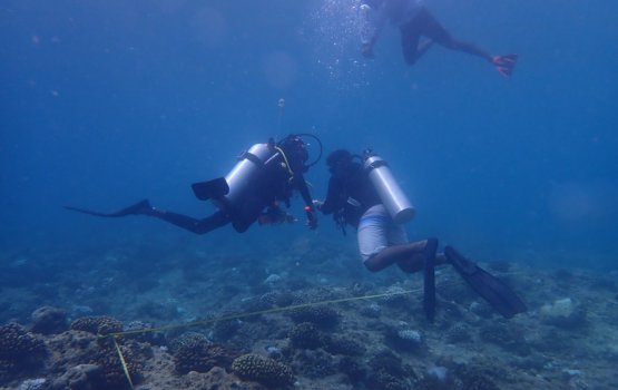 Muraka hudhuvaa minvaru dhenegathumah EPA in survey eh kuranee