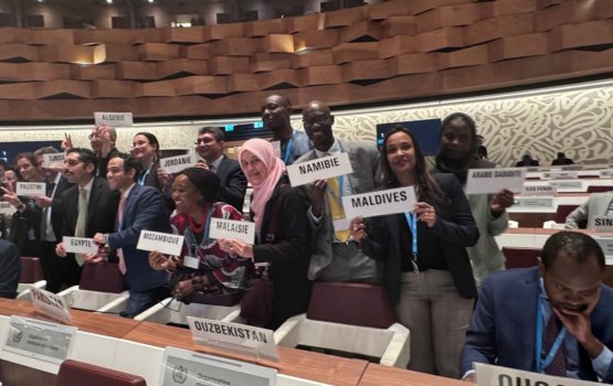 WHO ge member kan Palestine ah, Raajje in maruhabaa kiyaifi