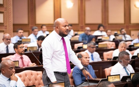 Sarukaarekey kiyaafai havaaluvaan jehunee thoshigandakaa: Shujau