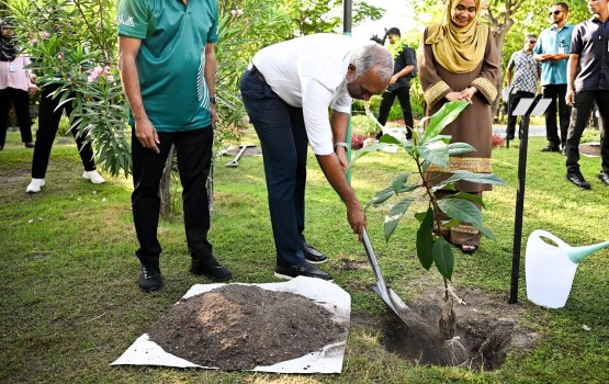 5 million gasindhumuge prograam ifuthithaahukoffi