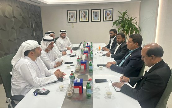 Male'gai vehicle thohjehey massala ah Dubai ge eheetherikan hoadhanee