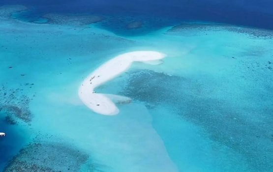 Kaani hotels ah v. atholhun bodu falheh vikkaalaifi