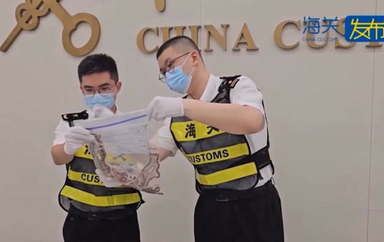 Fatuloonu therey foruvaigen 100 harufa ethere kuran ulhenikoh athulaigenfi