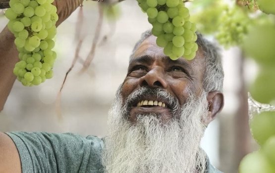 Abdhul latheef hadhdhaa meybiskadhuru ge raha varah foni