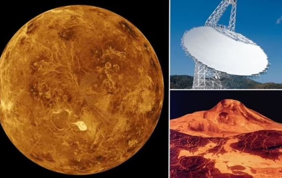 Venus gai dhirun vaa kamah baaru dhey heki thakeh hoadhaifi