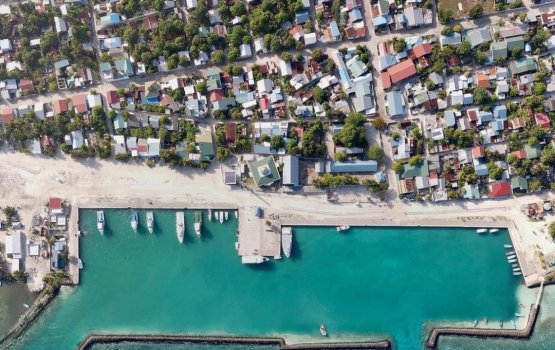 Gadhdhoo ga anhenakah jinsee goanaa kuri meehaku hayyaru koffi