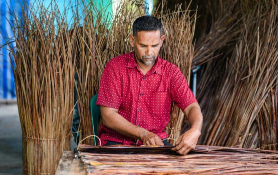 Shameemakee baarashuge udharehun eri aligadha tharieh