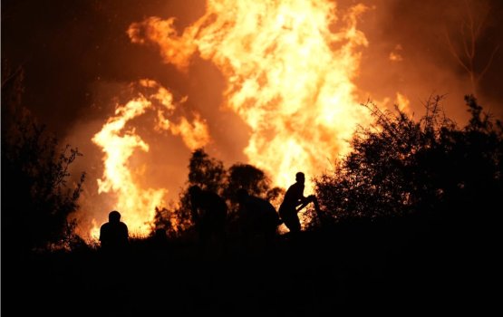 Turkiye ge jangaleegai roavi alifaan meehun dhiriulhey sarahadhah fethurenee