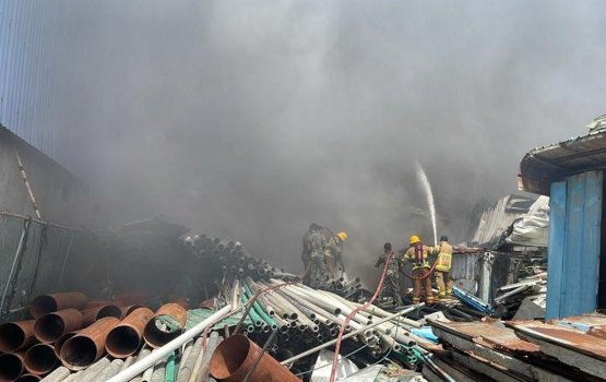 Marinedo Workshop gai roavi alifaan nivvaalaifi