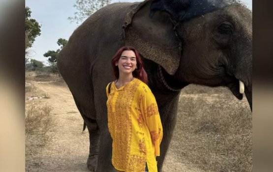 Dua Lipa concert eh November mahu Mumbai gai!