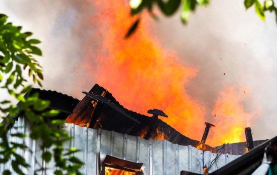 Gaa magu cafe ge alifaanuge haadhisaa: 56 meehaku rakkaatheri thanthanah badhalu koffi