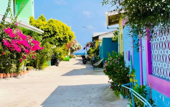 Postmortem nuhadhaa Zakiyya ge hashigandu anburaa rashah gengosfi