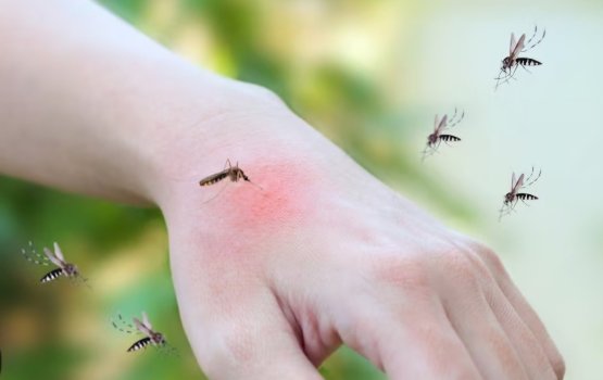 Madhiri hefumun baeh meehunge gai hiruvanee keevve?