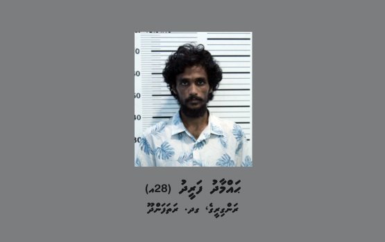 Fareed hoadhan fuluhun iulaan koffi