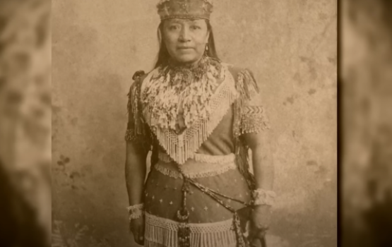 Navada gai iskolhun 10 footah vure dhigu meehun