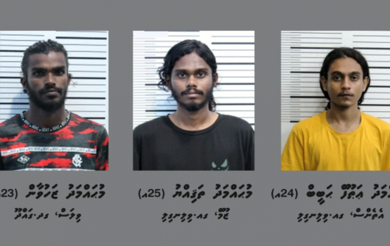 Masthuvathakecha eku Vilingilin 3 meehaku hayyarukoffi