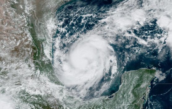 Florida ah anekka ves thoofaaneh aranee