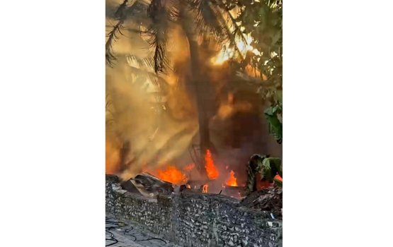 Maradhoo ge ehgai alifaanuge haadhisa eh hingaifi