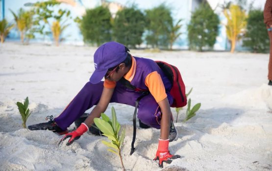 MIB in Kudagireegai1,000 gas indhaifi 