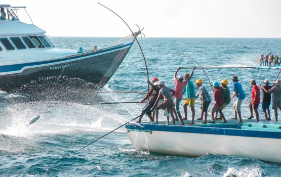 Masverinnah vagithun libenjehey agu: thaareekhun dhaskuranjehey namoonaaeh