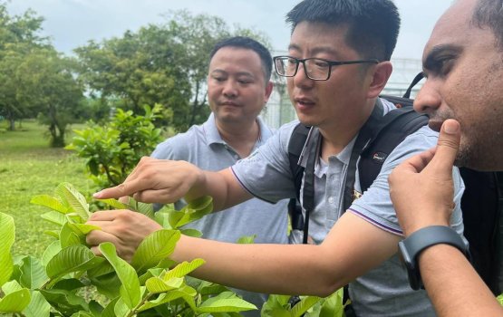 Ruhgahah dhimaavaa fanifakusaa control kuran China ge maahirunnai eku masvaraa kohfi