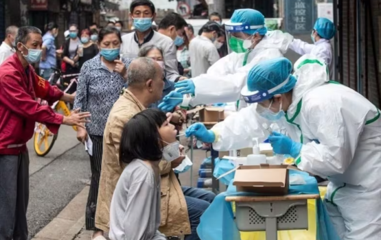 Neyvalaa nizaamah jehey HMPV virus, gaumuthakun fiyavalhu alhanee