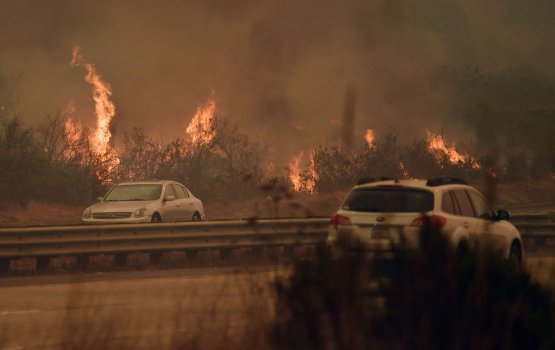 Los Angeles gai vai thagayyaru ve, sihkhee nurahkaatherikan boduvejje