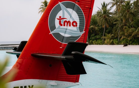 TMA ge hissaa vikkaalan Carlyle in alun masaikah fashaifi